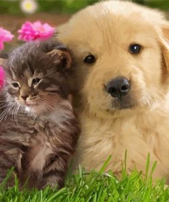 Adorable Tabby Kitten And Golden Spaniel Puppy Paint By Number