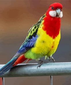 Aesthetic Australian King Parrot Paint By Number