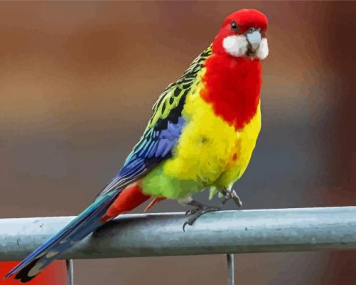 Aesthetic Australian King Parrot Paint By Number