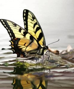Aesthetic Butterfly On Water Paint By Number