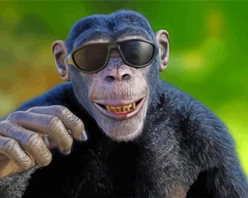 Aesthetic Monkey Wearing Glasses Paint By Number