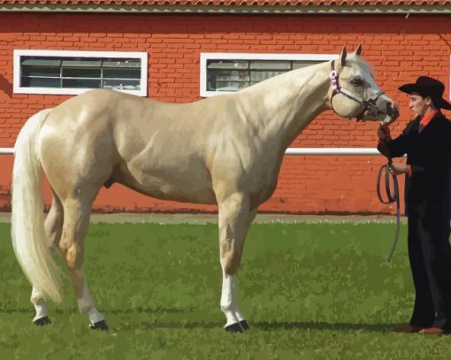 Aesthetic Quarter Horse Paint By Number