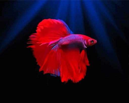 Aesthetic Red Betta Fish Paint By Number