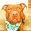 Aesthetic Red Nose Pitbull Paint By Number