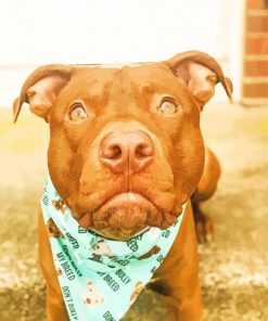 Aesthetic Red Nose Pitbull Paint By Number