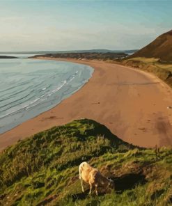 Aesthetic Rhossili Landscape Paint By Number