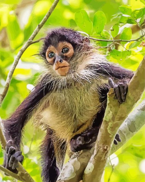 Baby Spider Monkey On Tree Paint By Number