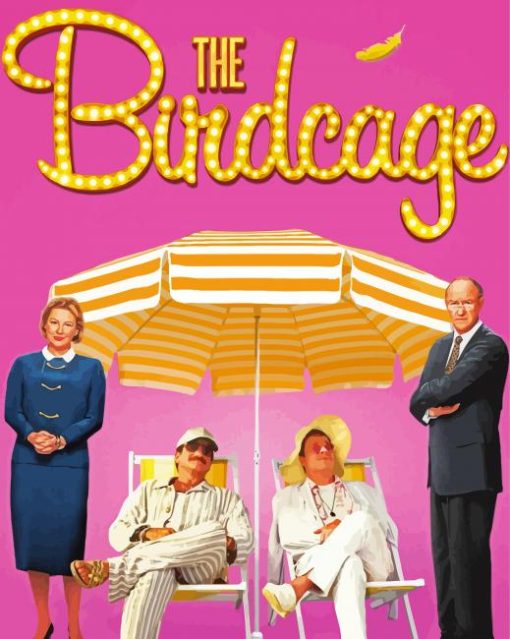 Birdcage Movie Poster Paint By Number