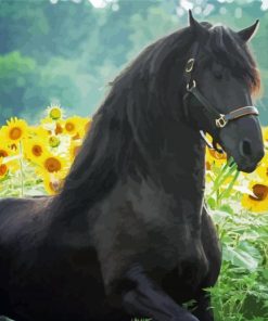 Black Horse With Sunflowers Paint By Number