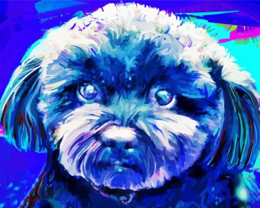 Blue Maltipoo Paint By Number