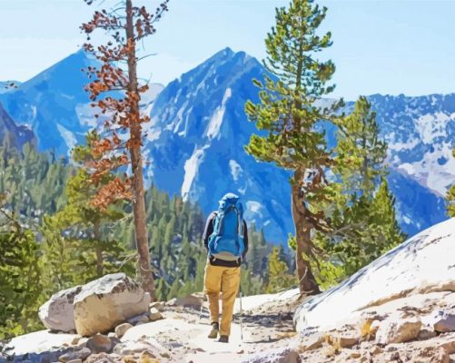 California Man In Sierra Paint By Number