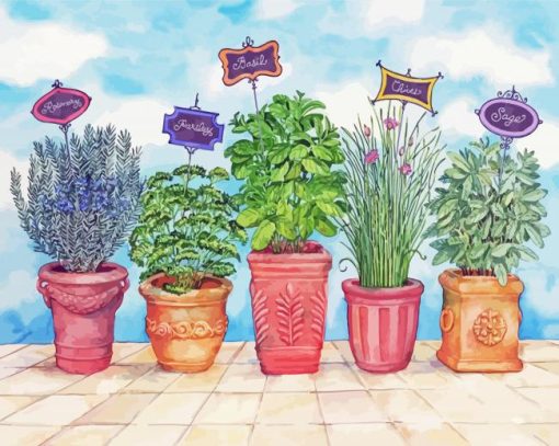 Herb Plant Pots Paint By Number