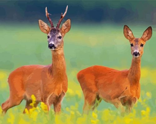 Roe Deers Paint By Number