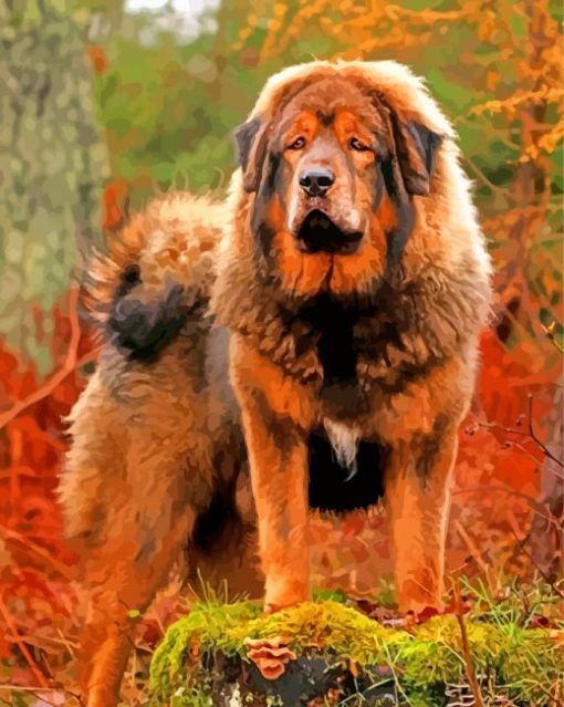 Fluffy English Mastiff Paint By Numbers
