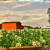 Custom Paint By Numbers​ Landscape gallery image 1
