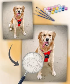 Paint By The Numbers Custom Pets