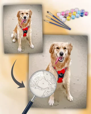 Paint By The Numbers Custom Pets