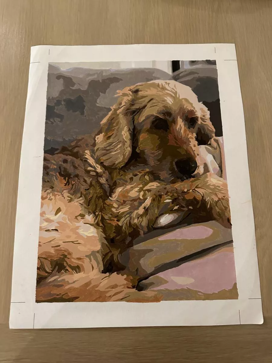 Paint By The Numbers Custom Pets rev 2