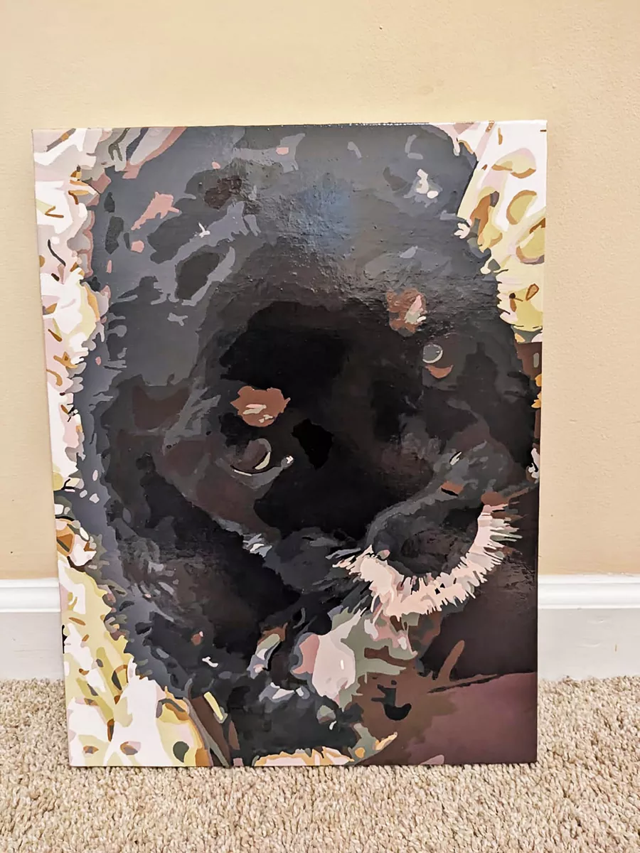 Paint By The Numbers Custom Pets rev 3