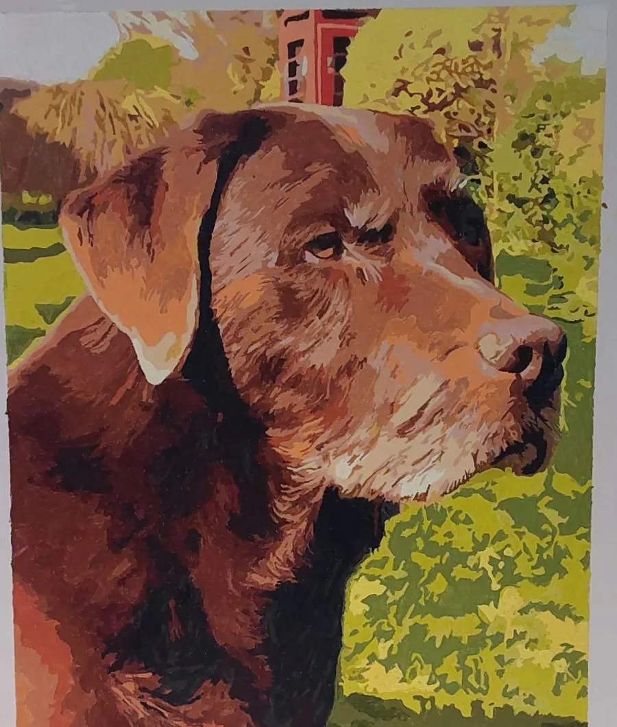 Paint By The Numbers Custom Pets rev 4