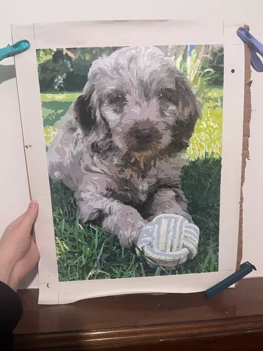 Paint By The Numbers Custom Pets rev 7